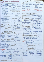 Chemistry Biomolecules Mindmap.pdf